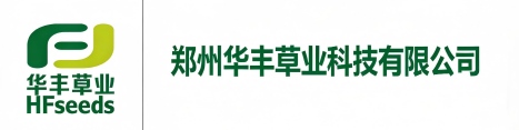 东升国际